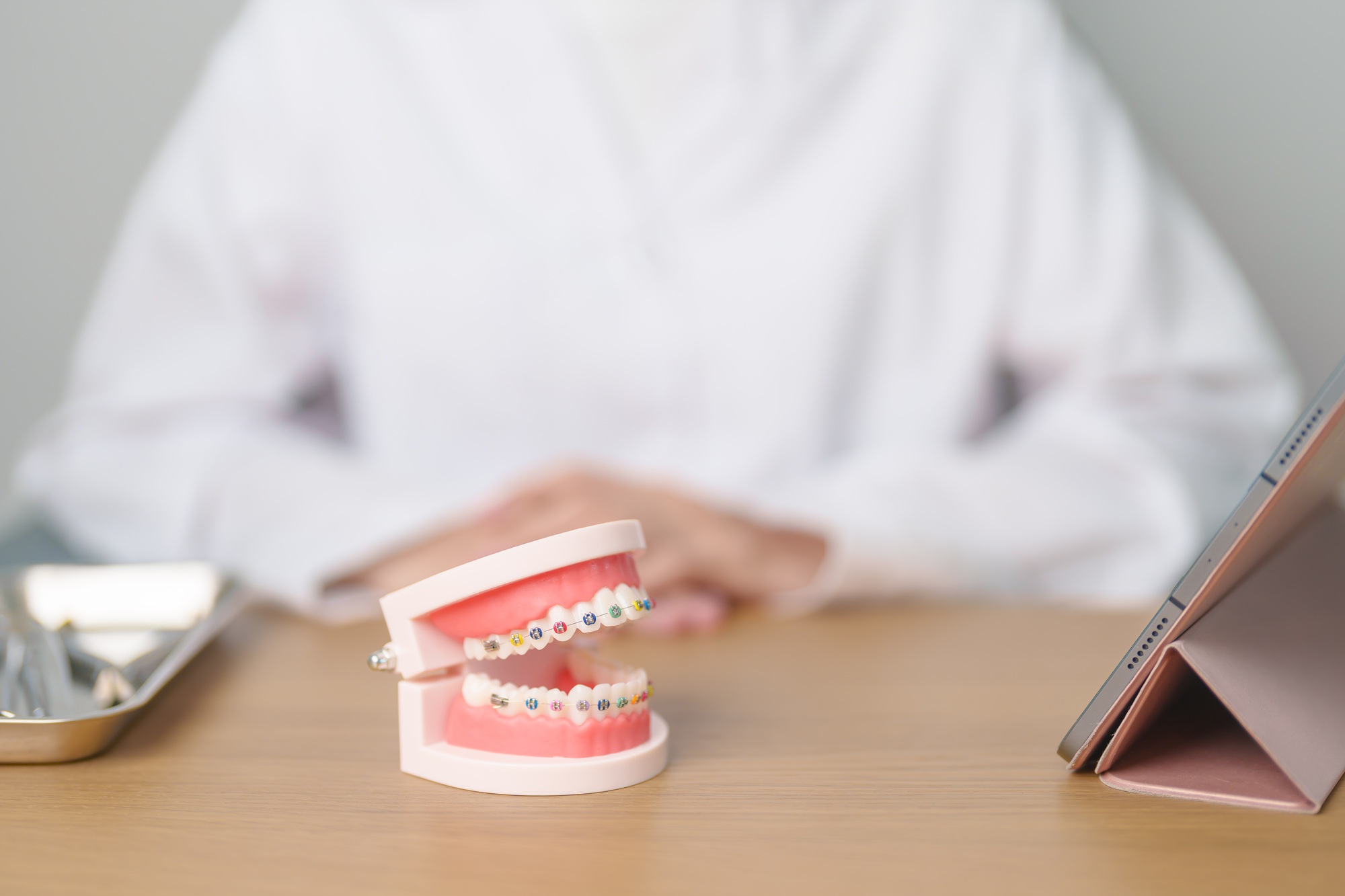 Dentist with Orthodontic tooth model and bracket or brace