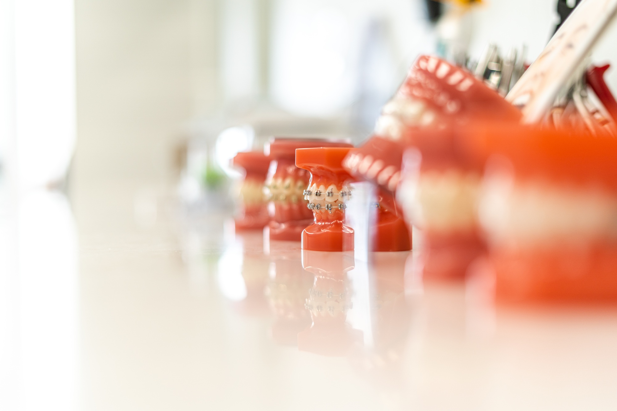 Prosthetic gums, braces and teeth on the dentistry table